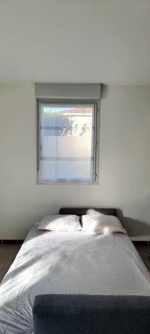 T2 Pool & Terrasse - Parking - Metro - Wifi Apartment Toulouse Luaran gambar